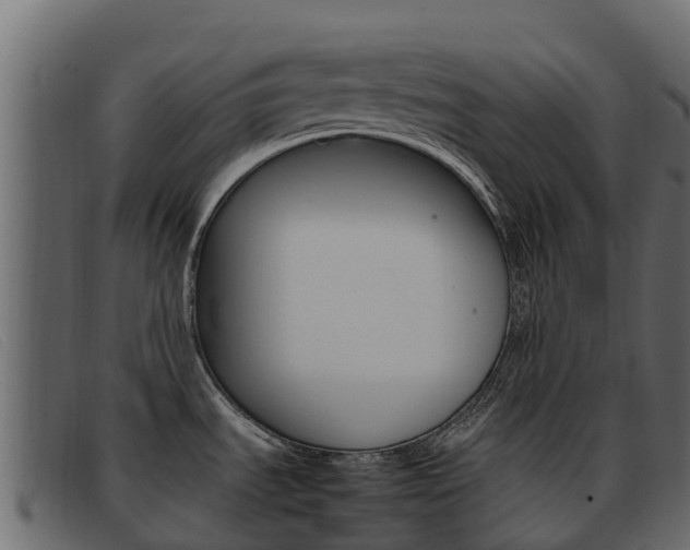 X0000093371535200710111317