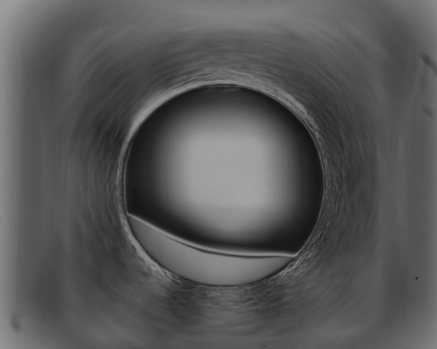 X0000093371536200710111317