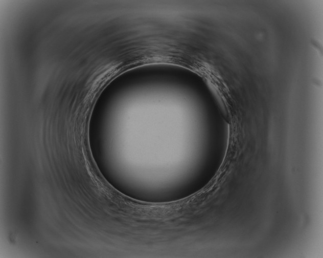 X0000093370001200710111445