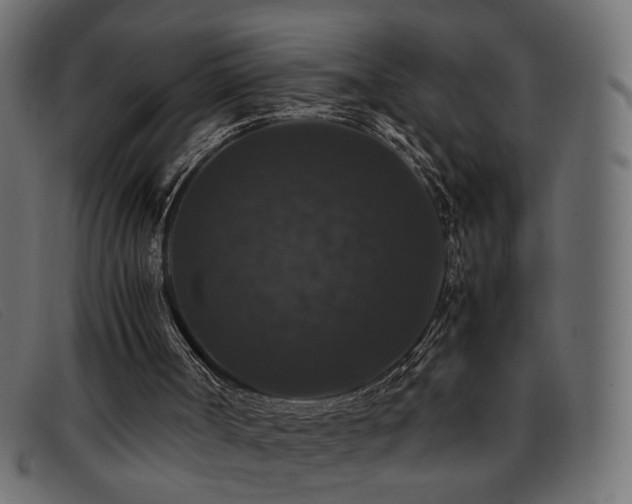 X0000093370002200710111445