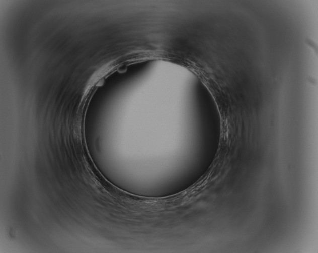 X0000093370004200710111445