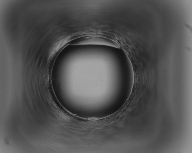 X0000093370005200710111445