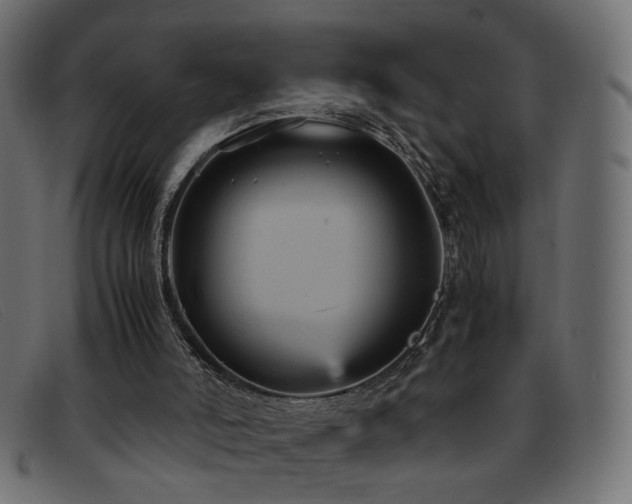 X0000093370006200710111445