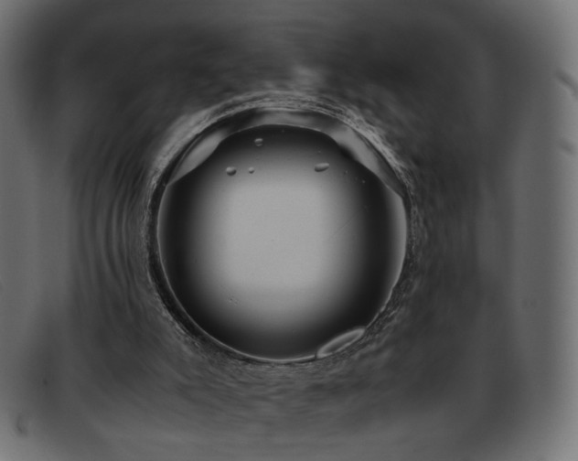 X0000093370007200710111445