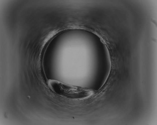 X0000093370008200710111445