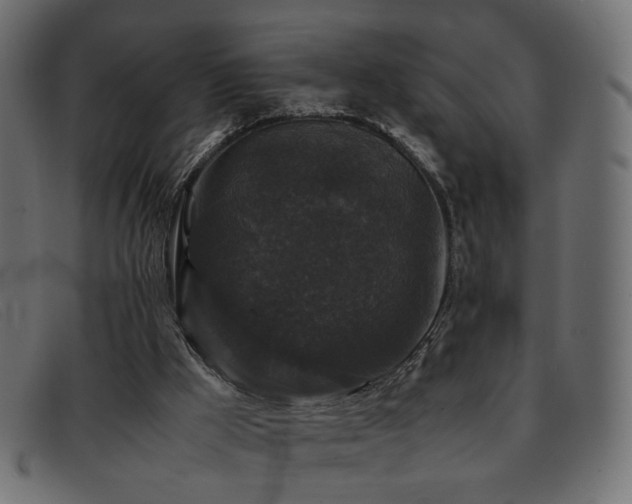 X0000093370009200710111445