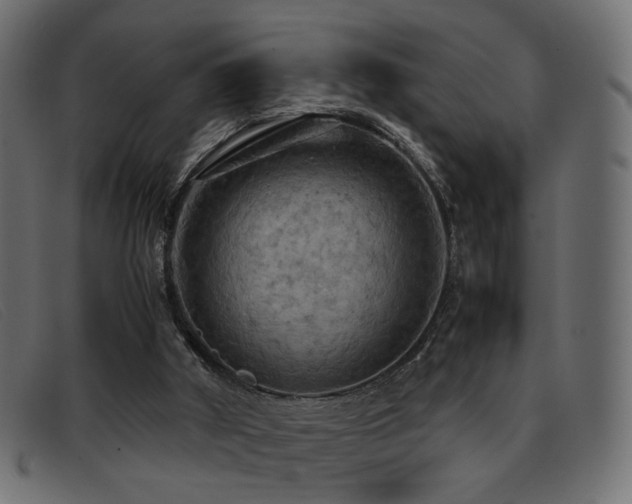 X0000093370010200710111445