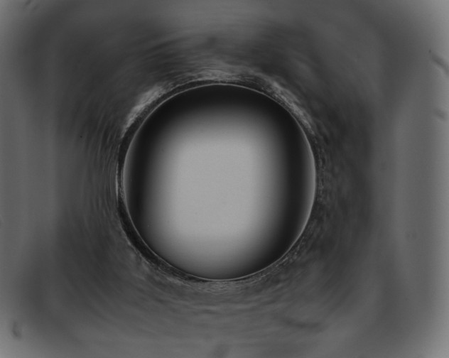 X0000093370011200710111445