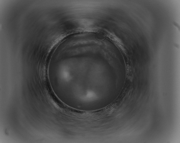 X0000093370012200710111445