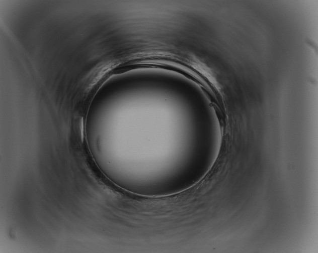 X0000093370013200710111445