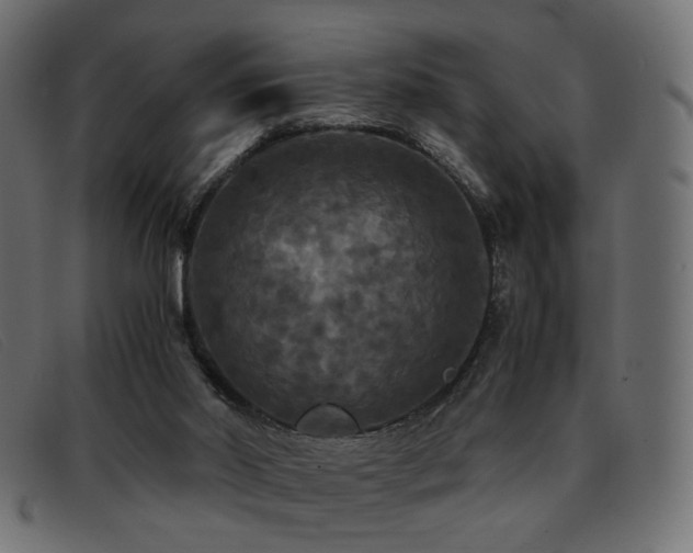 X0000093370014200710111445