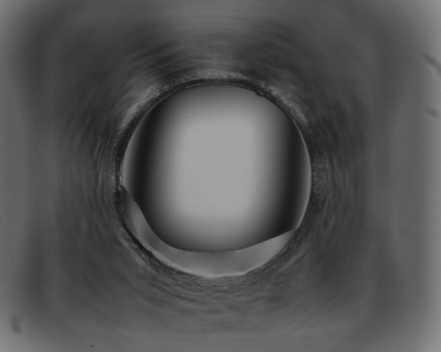 X0000093370015200710111445