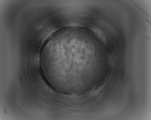 X0000093370016200710111445