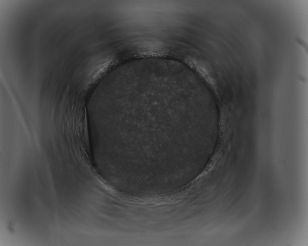 X0000093370017200710111445