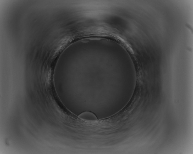 X0000093370018200710111445