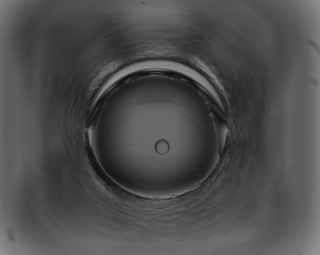 X0000093370019200710111445