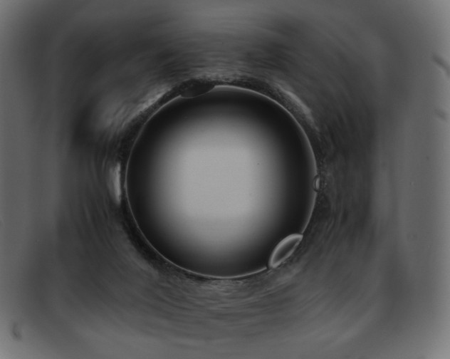 X0000093370020200710111445