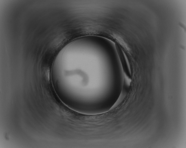 X0000093370021200710111445