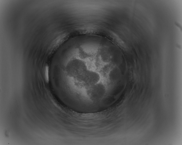 X0000093370022200710111445