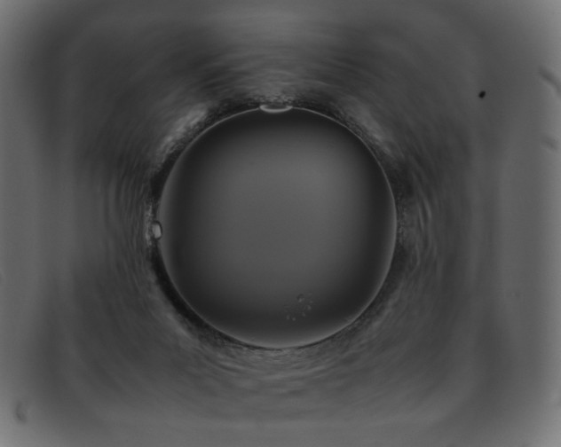 X0000093370023200710111444