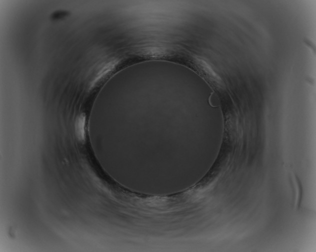 X0000093370024200710111444