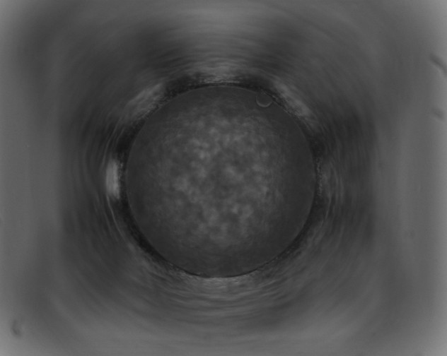 X0000093370026200710111444