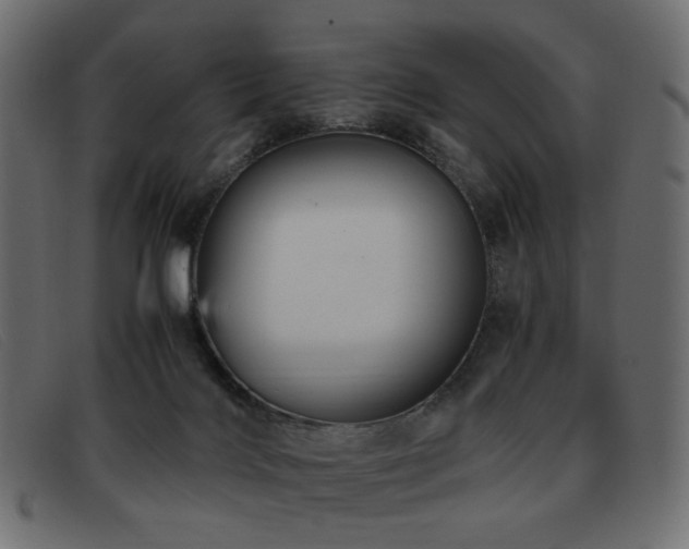 X0000093370028200710111444