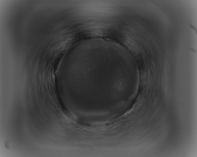 X0000093370029200710111444