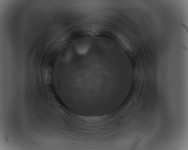 X0000093370030200710111444