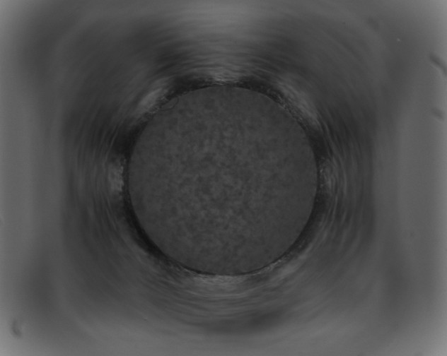 X0000093370032200710111444