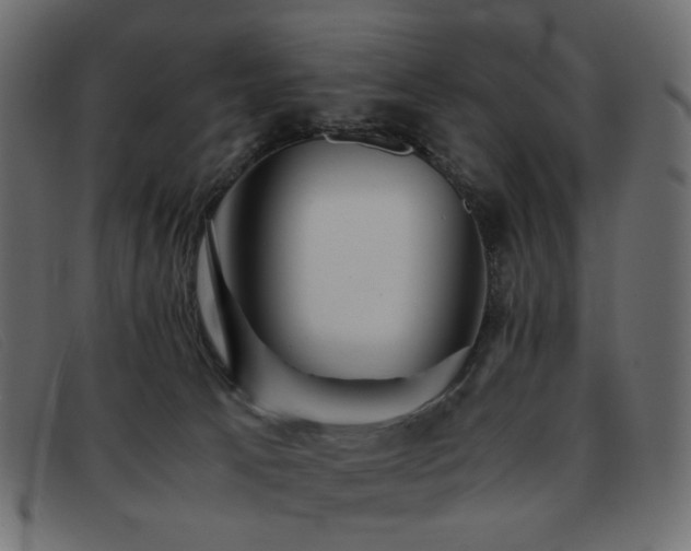 X0000093370033200710111444