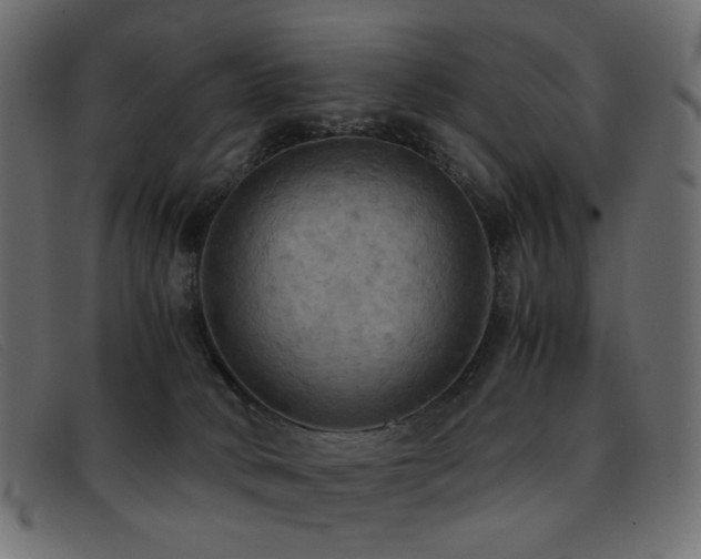 X0000093370034200710111444