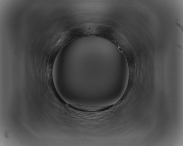 X0000093370035200710111444