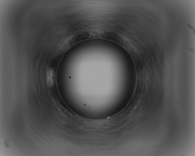 X0000093370038200710111444