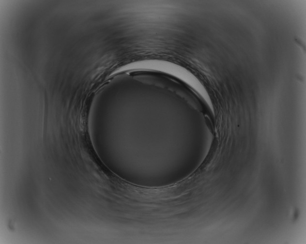 X0000093370039200710111444