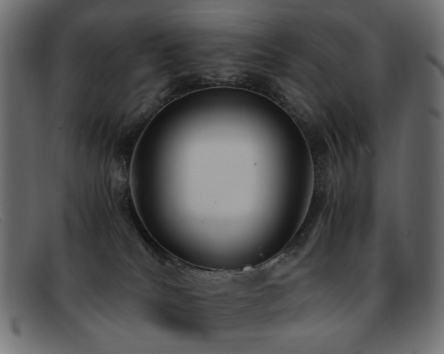 X0000093370040200710111444