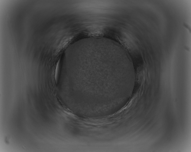 X0000093370041200710111444