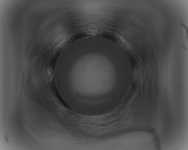 X0000093370043200710111444