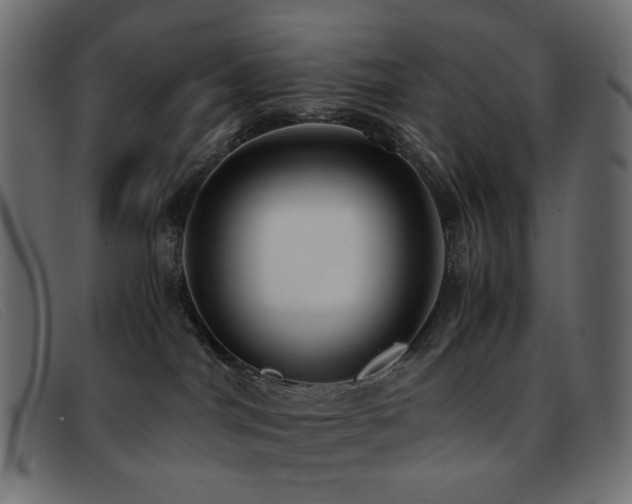 X0000093370044200710111444