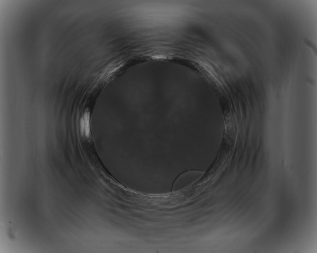 X0000093370046200710111444