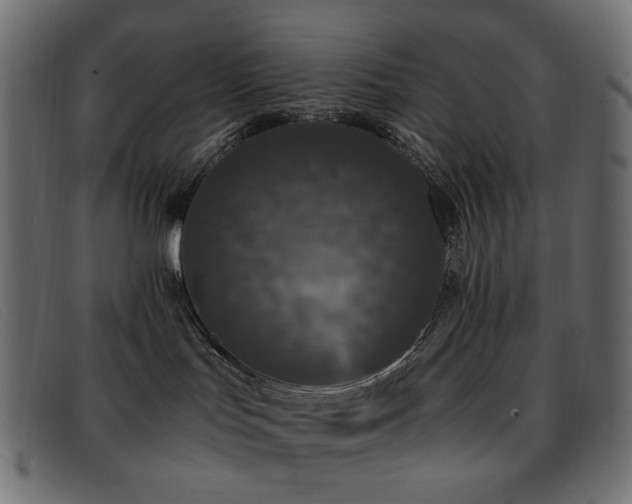 X0000093370047200710111444