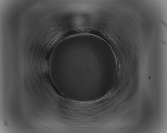 X0000093370048200710111444