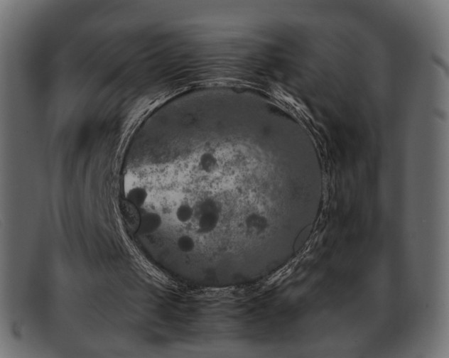 X0000093370049200710111444