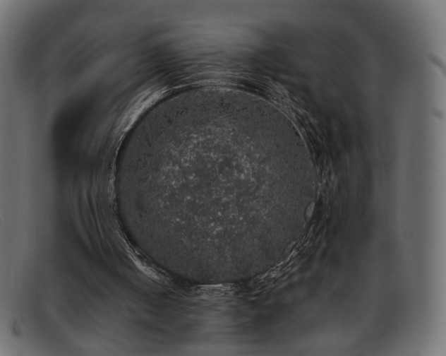 X0000093370050200710111444