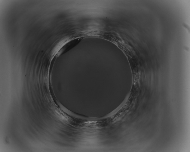 X0000093370052200710111444