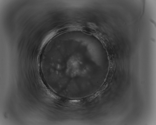 X0000093370053200710111444