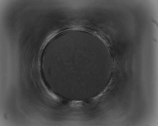 X0000093370055200710111444