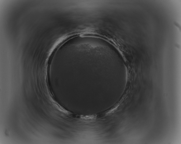 X0000093370056200710111444