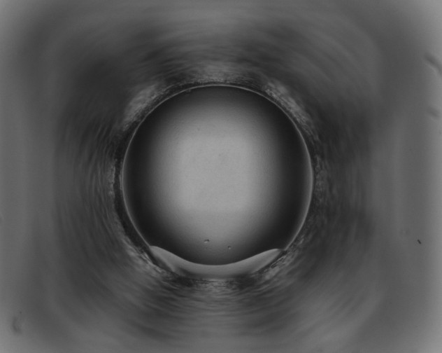 X0000093370058200710111444