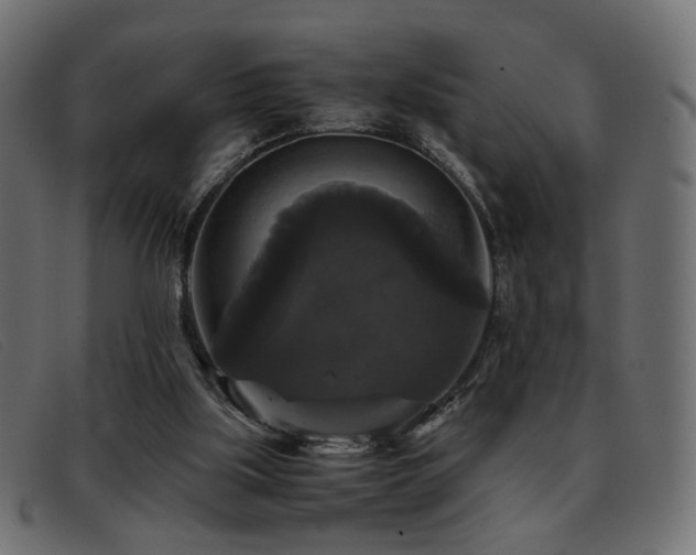 X0000093370059200710111444